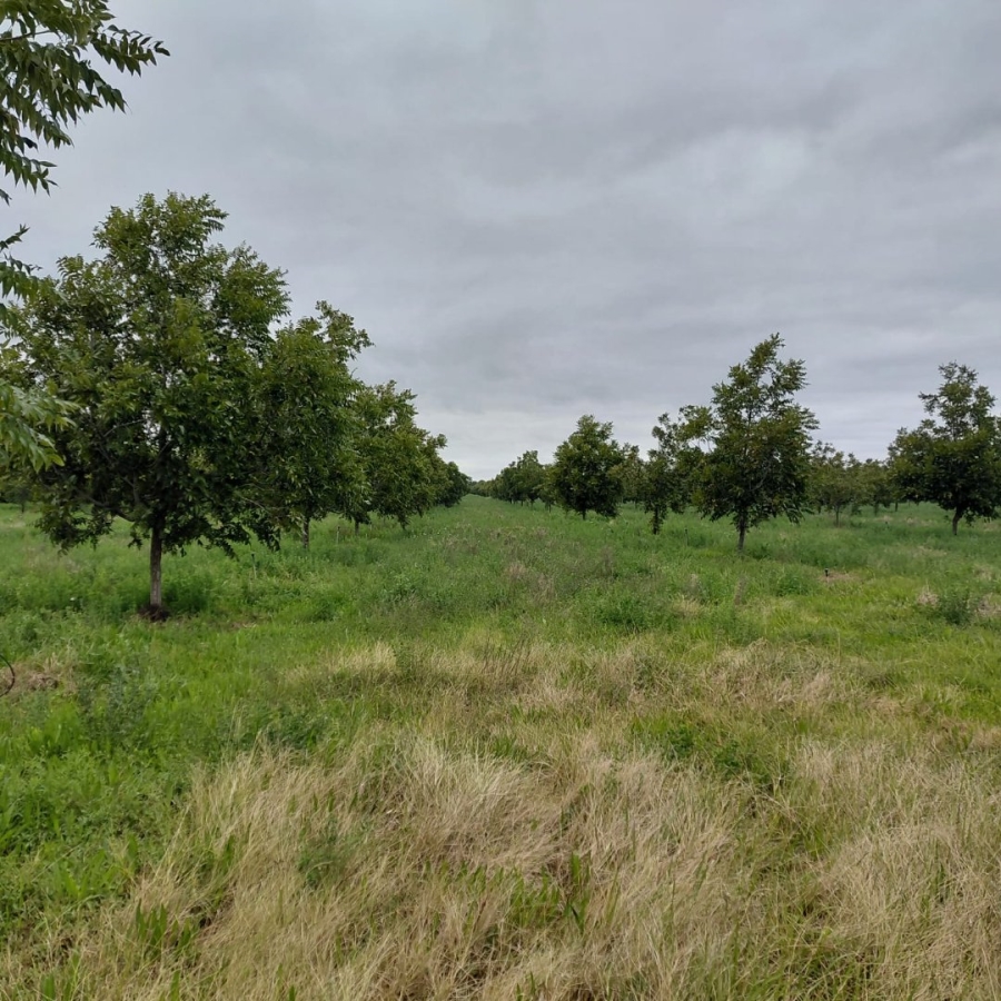 Commercial Property for Sale in Hartswater Rural Northern Cape